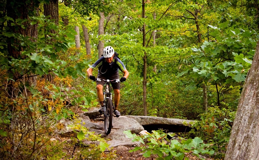 Mountain Biking in Pennsylvania: 10 Best Roads to Travel