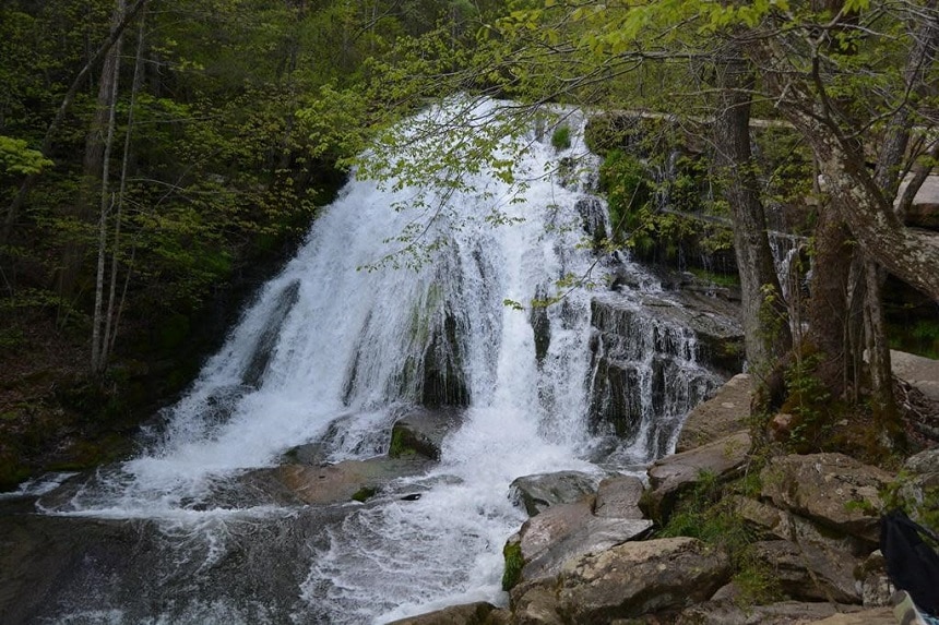 Top 10 Mountain Bike Trails in Virginia – It's Time to Enjoy a Ride!