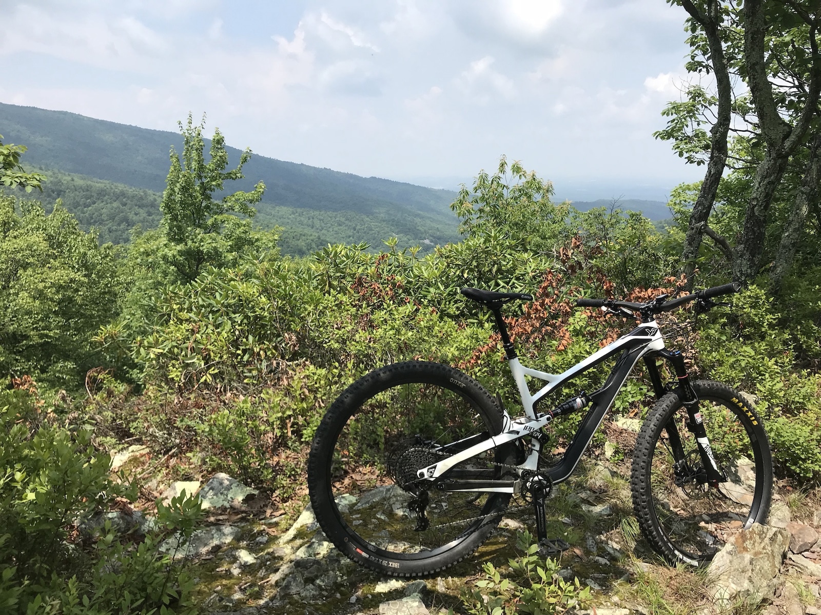 Top 10 Mountain Bike Trails in Virginia – It's Time to Enjoy a Ride!