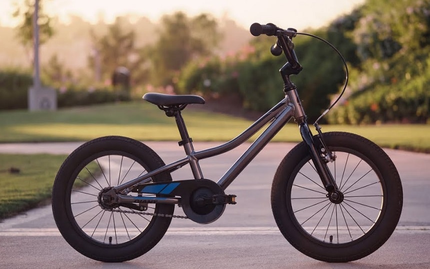 10 Best BMX Bikes for Kids: Perfect for Jumps and Other Tricks (Spring 2022)