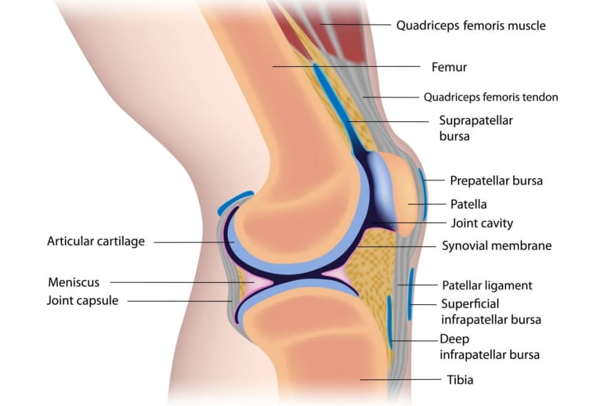 Let's Find Out: Is Biking Bad for Your Knees?