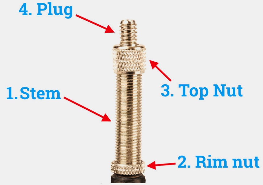 Schrader vs Presta Valve: Difference Explained