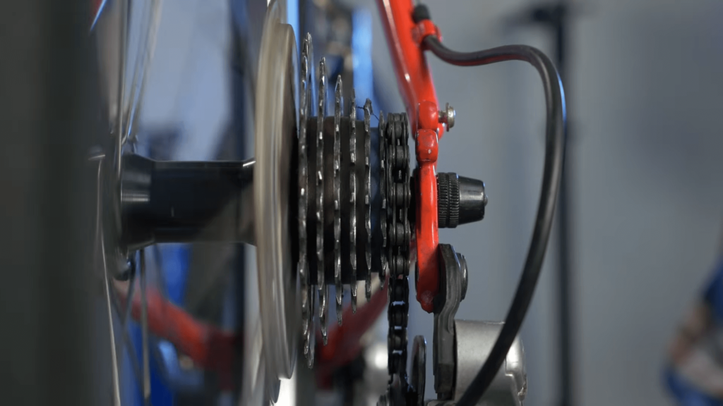 Front and Rear Bike Wheel Wobbles: Ways to Fix It
