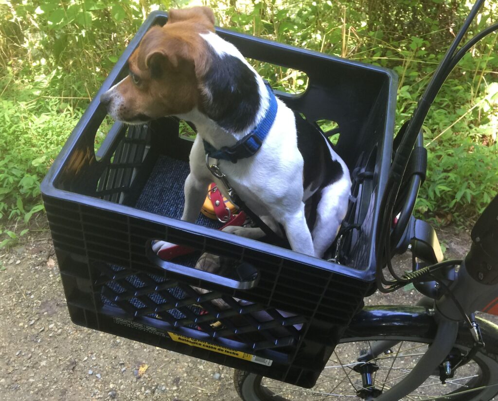 How to Mount a Milk Crate on Bike: 3 Reliable Methods