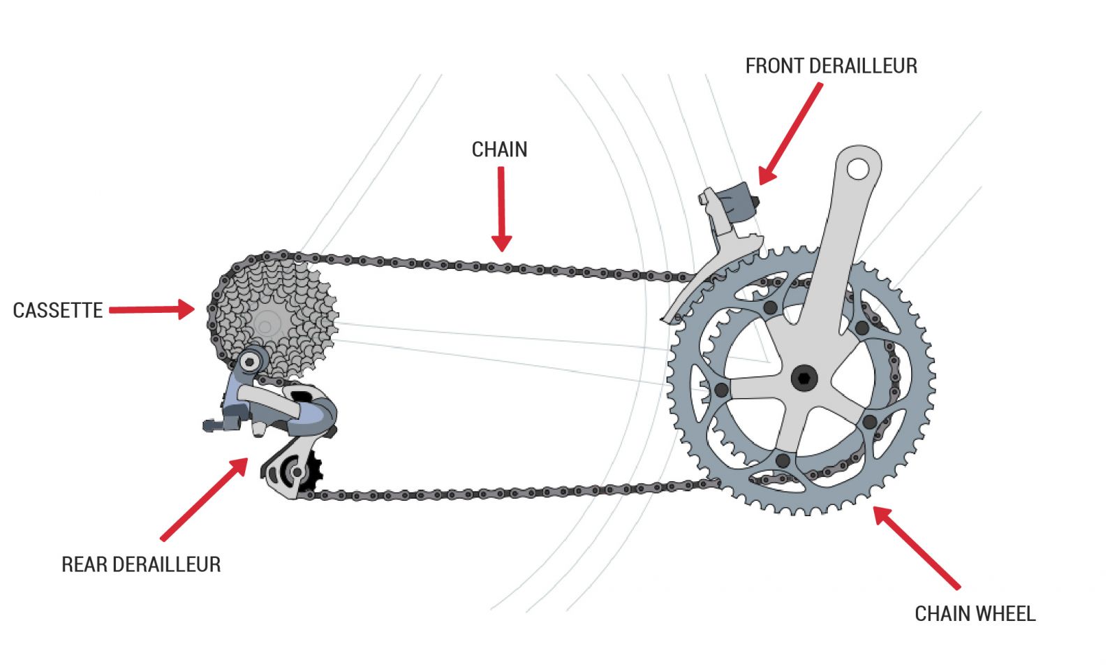 Bike Parts Diagram: In-Depth Guide on Each Part