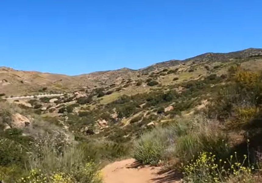 Hummingbird - Mountain Bike Trail