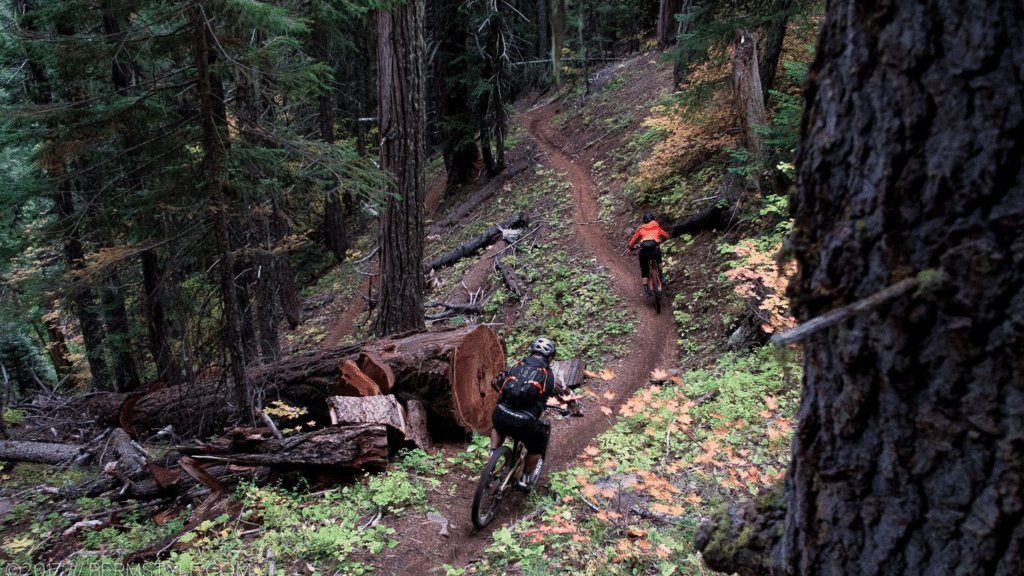 20 Best Mountain Biking Trails in the US - Epic Adventures for Thrill-Seekers!