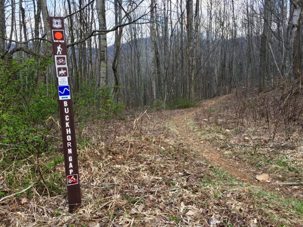 Buckhorn Gap 103 (Avery Creek)