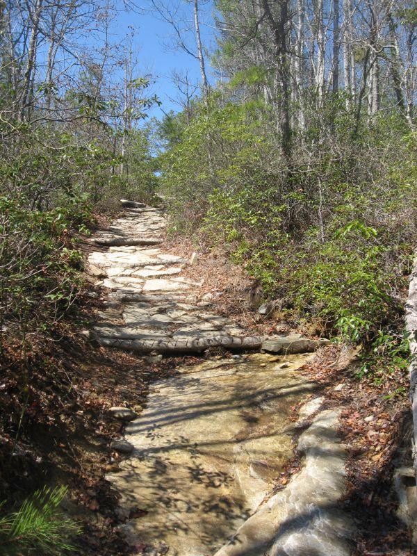 Cedar Rock Trail #16