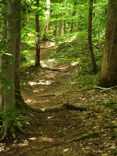 Reedy Fork Mountain Bike Trail in Greensboro, North Carolina ...