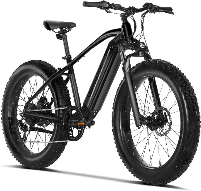 VELOWAVE Electric Bike